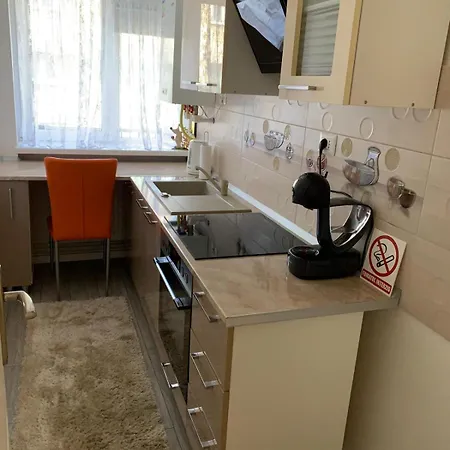 Rose Apartment Piatra Neamt Exterior photo