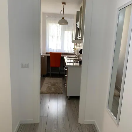 Rose Apartment Piatra Neamt Exterior photo