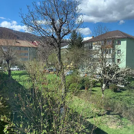 Rose Apartment Piatra Neamt Exterior photo